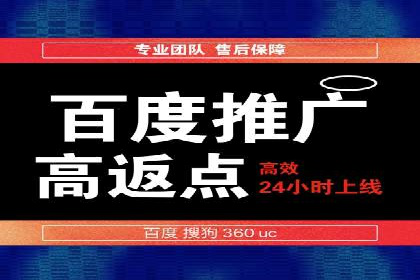 百度网络推广案例：揭秘行业领军企业如何保持竞争力